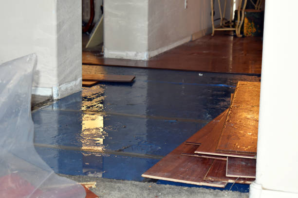 Professional Burst Pipe Cleanup technician working in La Salle, TX